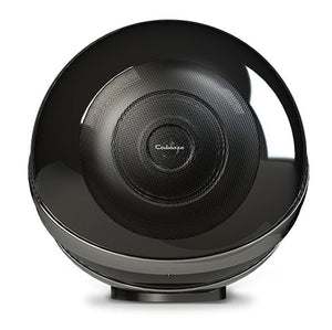 THE PEARL, a coaxial connected speaker - Black